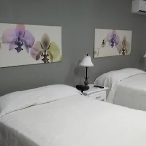 https://aparta-hotel-turey.santodomingobesthotels.com
